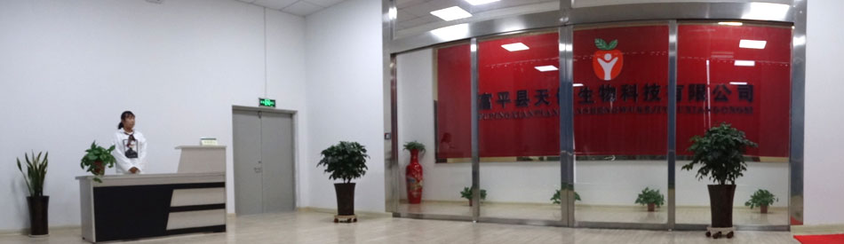 图片动画1